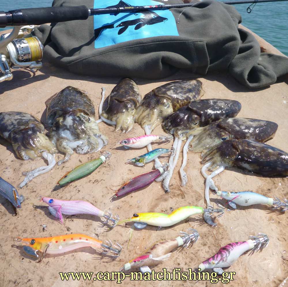 lrf-eging-kalamarieres-carpmatchfishing