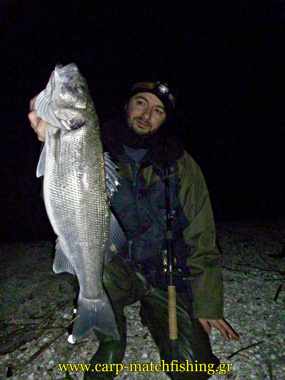sea-bass-grounbait-angry-fish-sfaltos-carpmatchfishing