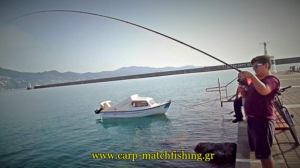match-fishing-kefaloi-curve-rod-2-carpmatchfishing
