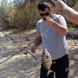 Το Άβαταρ του/της spyros