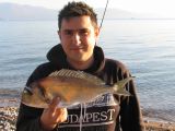 thanasis