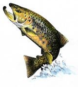 Το Άβαταρ του/της Τηλέμαχος Μπέλλος