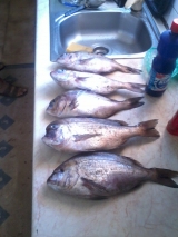 Το Άβαταρ του/της makis kiriakidis