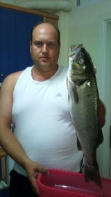 Το Άβαταρ του/της stayros