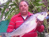 michael.michaelides