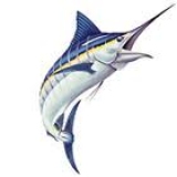 Το Άβαταρ του/της sakis