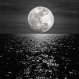 Το Άβαταρ του/της Γιώργος