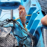 Το Άβαταρ του/της Σπυρος 