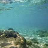 Το Άβαταρ του/της ΑΘΑΝΑΣΙΟΣ