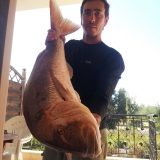 Το Άβαταρ του/της ΓΙΩΡΓΟΣ