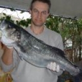 Το Άβαταρ του/της σταμπαμπας γιωργος