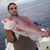 Το Άβαταρ του/της Spartan (Γρηγόρης)