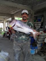 Το Άβαταρ του/της Spiros