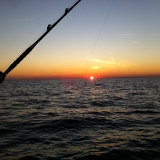 Το Άβαταρ του/της Δημητρης (seaman)