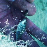 Το Άβαταρ του/της Γιώργος Ταχτσίδης (georgetax)