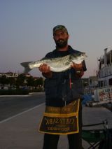 Το Άβαταρ του/της χελι21