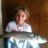 Το Άβαταρ του/της ΚΩΣΤΑΣ