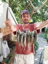 Το Άβαταρ του/της Gabberdim(Καπόγιαννης Δημοσθένης)