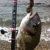 Το Άβαταρ του/της Μπάμπης (chief7)