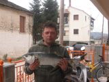 euaggelos goulas