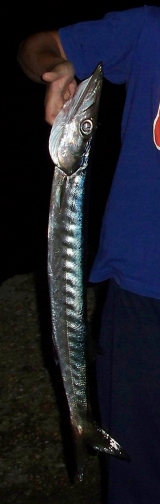 Το Άβαταρ του/της χαρης