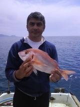 Το Άβαταρ του/της Παναγιώτης(kapla)