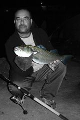 Το Άβαταρ του/της Tracer