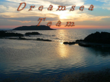 Dreamsea Team