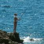 Το Άβαταρ του/της medi