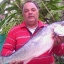 michael.michaelides