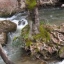 spyros