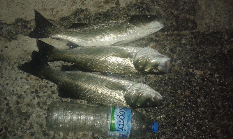 kostas 
