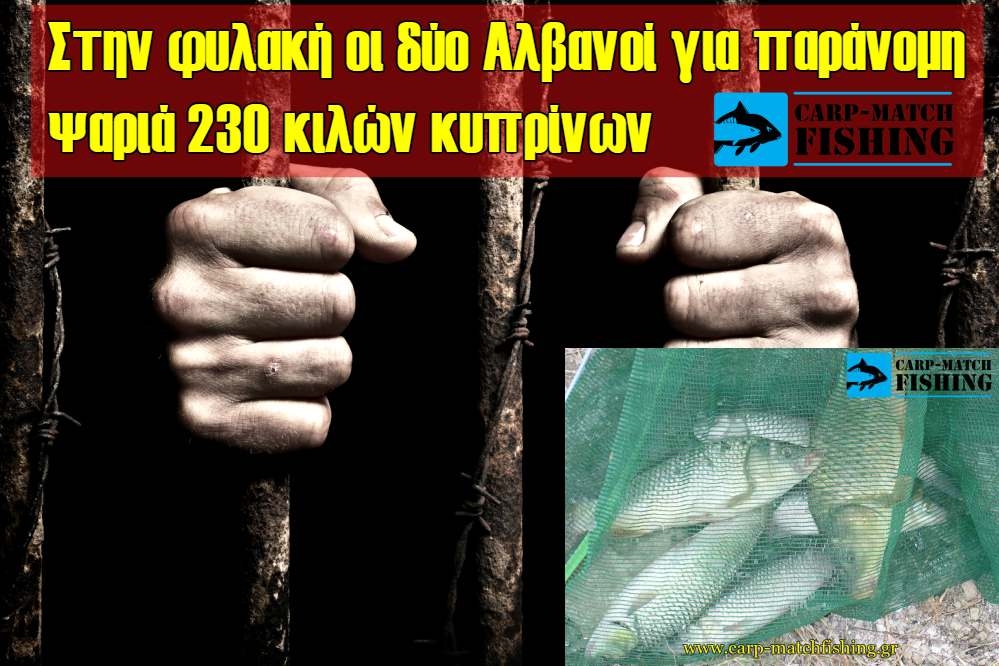 Στην φυλακή οι δύο Αλβανοί για παράνομη αλιεία 230 κιλών κυπρίνων