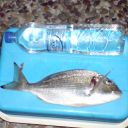 tsipouritsa