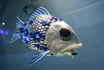 fishrobot