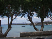 P5210015