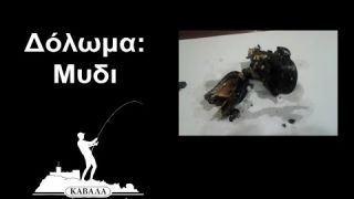 Δόλωμα: Μύδι