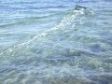 ΣΥΡΤΗ ΑΠΟ ΤΗΝ ΑΚΤΗ με μικρο catamaran